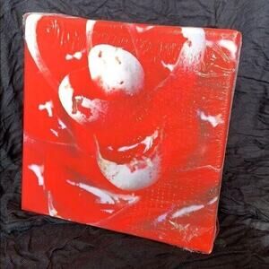 Vibrant Red Flower Signed Print on Canvas Photograph Wall Hanging